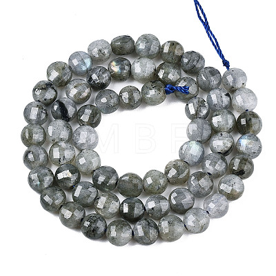 Natural Labradorite Beads Strands X-G-S354-24-A-1