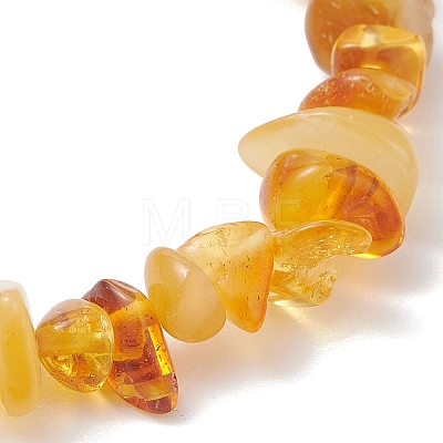Natural Amber Chip Beads Stretch Bracelets for Women BJEW-JB13337-1