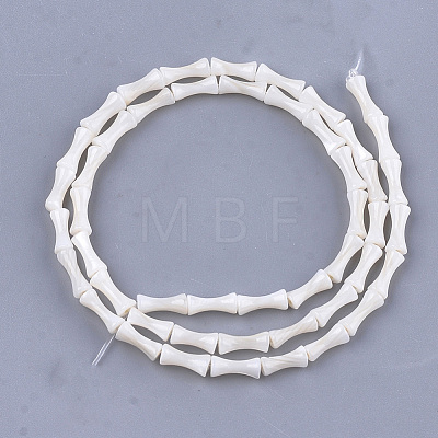 Freshwater Shell Beads Strands SHEL-T012-48-1