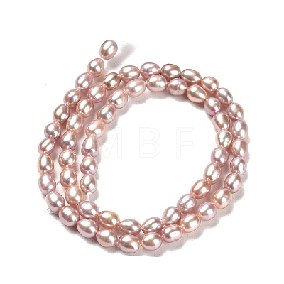 Natural Cultured Freshwater Pearl Beads Strands PEAR-E016-165-1