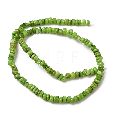 Dyed Natural Freshwater Shell Beads Strands SH-CBA2978-04B-1