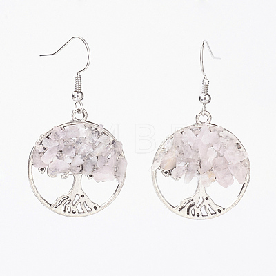 Natural Gemstone Dangle Earrings X-EJEW-JE02475-1