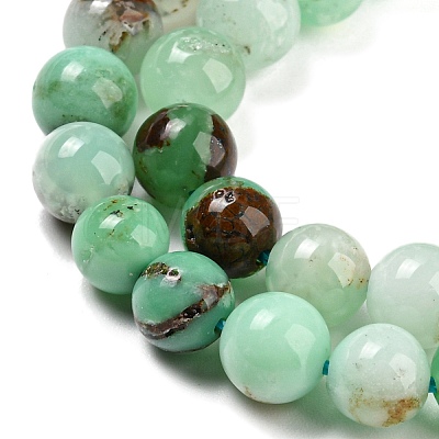 Natural Chrysoprase Beads Strands G-P503-8MM-03-1