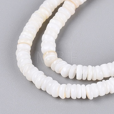 Natural Freshwater Shell Beads Strands SHEL-Q028-01A-1