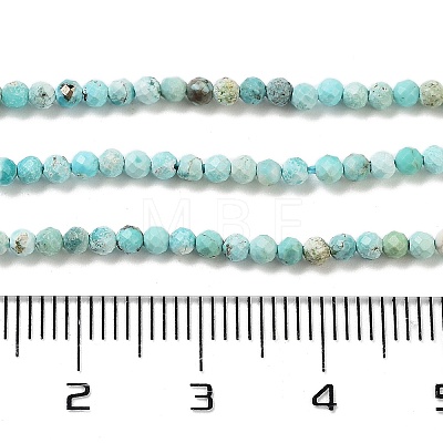 Natural HuBei Turquoise Beads Strands G-G792-38-01-1