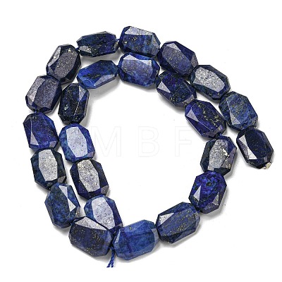 Natural Lapis Lazuli Beads Strands G-P544-B10-01-1