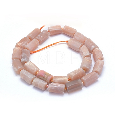 Frosted Natural Sunstone Beads Strands G-L552B-05-1
