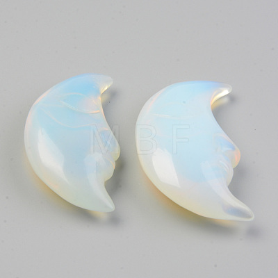 Opalite Beads G-T132-019-1