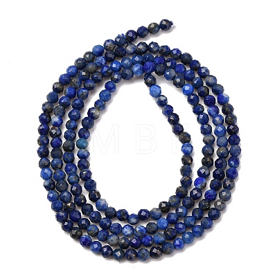 Natural Lapis Lazuli Beads Strands G-E351-09-1