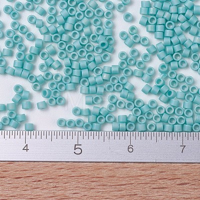 MIYUKI Delica Beads SEED-JP0008-DB0878-1