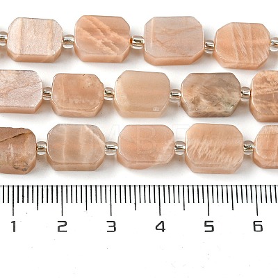 Natural Sunstone Beads Strands G-C098-A12-01-1