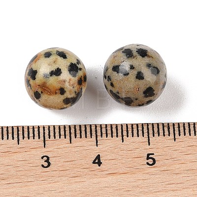 Natural Dalmatian Jasper No Hole Sphere Beads G-K353-04B-16-1