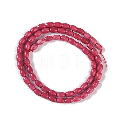 Natural Howlite Beads Strands G-K362-I07-01-1