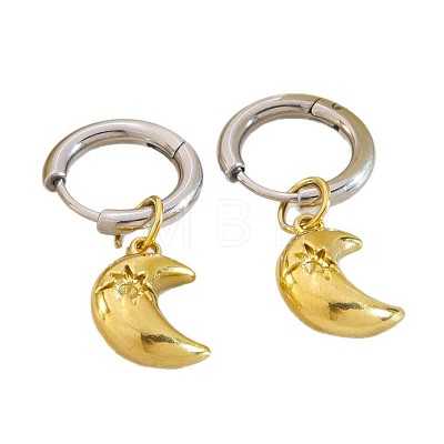 304 Stainless Steel Micro Pave Cubic Zirconia Hoop Dangle Earrings for Women WGE2C14-04-1