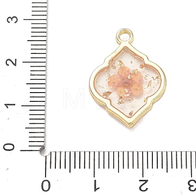 Alloy Epoxy Resin Pendants AL-Z001-08G-04-1