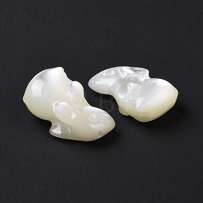 Natural White Shell Beads BSHE-H016-02-1