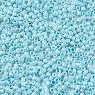 Glass Seed Beads SEED-S060-A-967-1