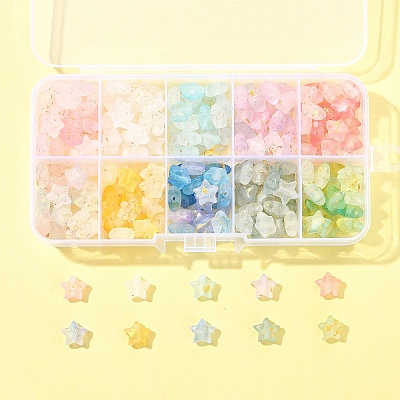 300Pcs 10 Colors Frosted Acrylic Charms OACR-FS0004-09-1
