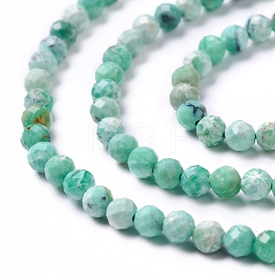 Natural Variscite Beads Strands X-G-C003-02-1