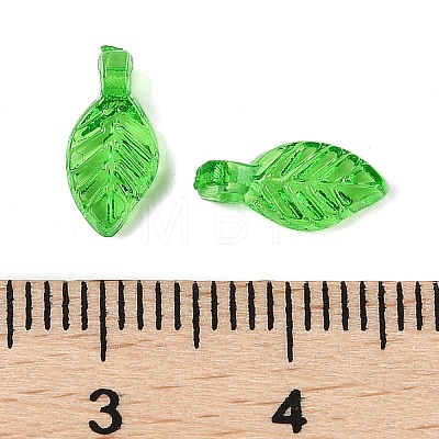 Transparent Acrylic Charms TACR-F009-11E-1