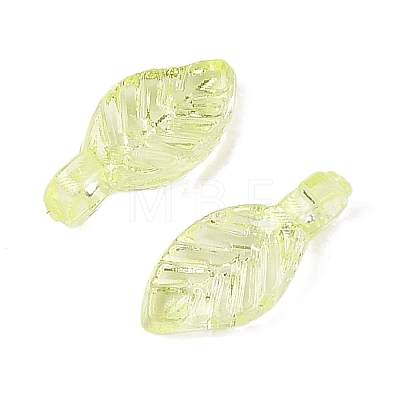 Transparent Acrylic Charms TACR-F009-11A-1