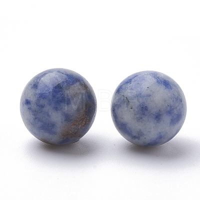 Natural Blue Spot Jasper Beads G-S289-15-10mm-1