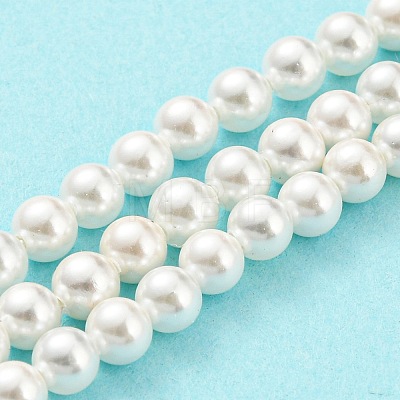 Electroplated Natural Shell Beads Strands SHEL-F008-03A-01-1