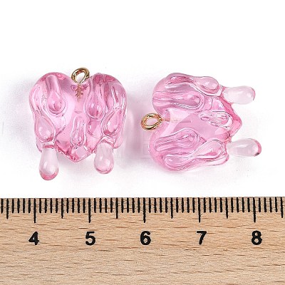 Resin Pendants RESI-I060-01C-1