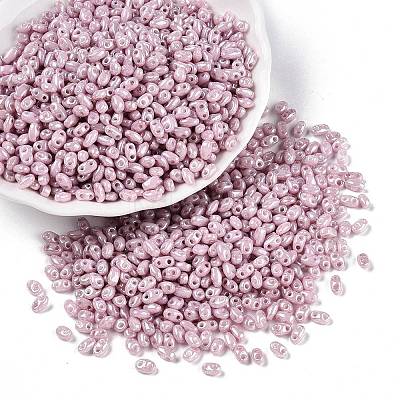 Opaque Colours Luster Glass Seed Beads SEED-T006-02E-1