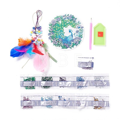 DIY Diamond Painting Hanging Woven Net/Web with Feather Pendant Kits DIY-I084-17-1