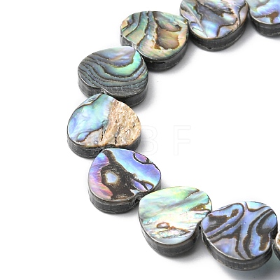 Natural Paua Shell Beads Strands SHEL-F006-04-1