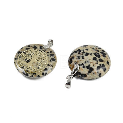 Natural Dalmatian Jasper Flat Round Pendants G-Q188-01P-14-1