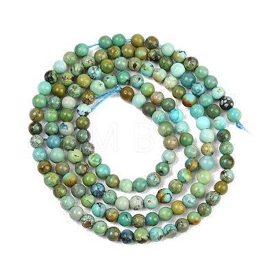 Natural HuBei Turquoise Beads Strands G-D100-A01-3mm-1