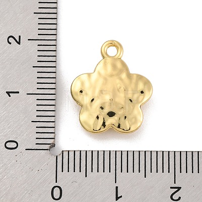 Alloy Pendants FIND-U007-14G-1