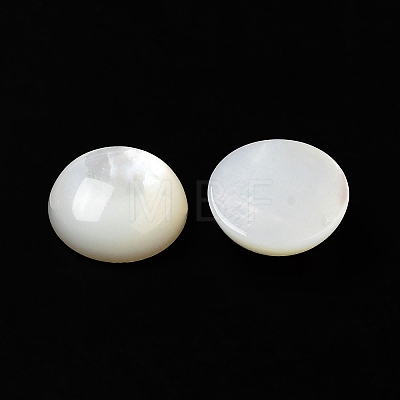Natural White Shell Cabochons SSHEL-M022-01C-1