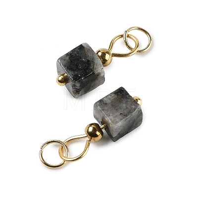 Natural Labradorite Pendants STAS-Z129-01G-03-1
