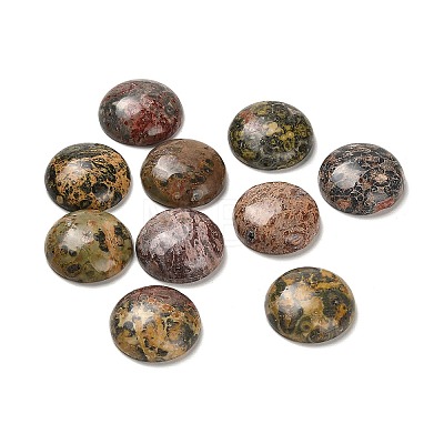 Natural Leopard Skin Jasper Cabochons G-E184-01-1