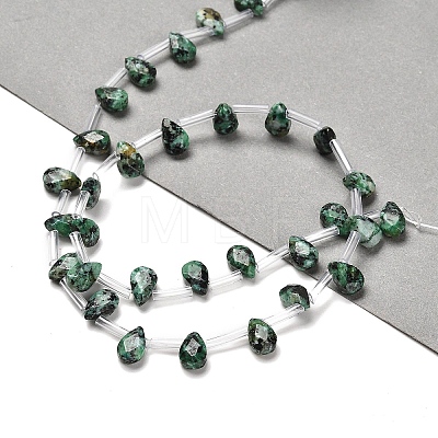 Dyed Natural African Turquoise(Jasper) Beads Strands G-Q167-A14-02-1