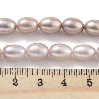 Natural Cultured Freshwater Pearl Beads Strands PEAR-P062-10E-1