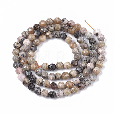 Natural Argentina Rhodonite Beads Strands G-S361-4mm-014-1