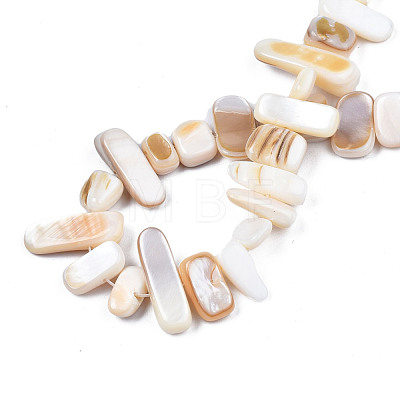 Natural Trochid Shell/Trochus Shell Beads Strands SHEL-S258-082-A01-1