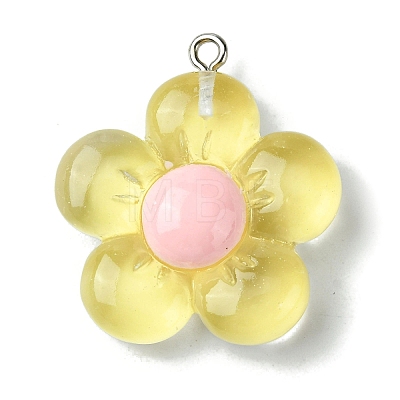 Translucent Resin Pendants RESI-P039-01P-1