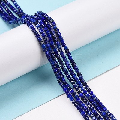 Natural Lapis Lazuli Beads Strands G-C009-B08-1