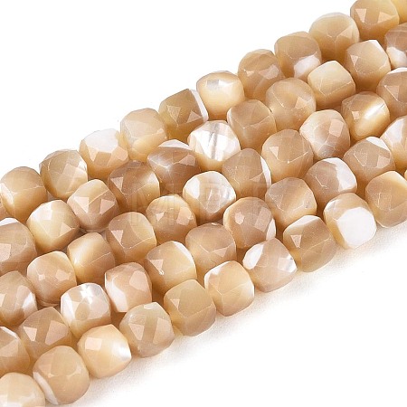 Natural Trochid Shell/Trochus Shell Beads Strands BSHE-T014-53-1
