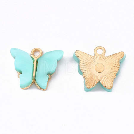 Alloy Acrylic Pendants ENAM-R136-01A-1