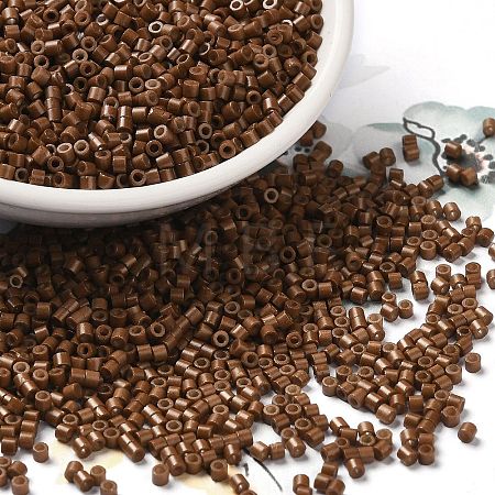 Baking Paint Glass Seed Beads X-SEED-S042-05B-43-1