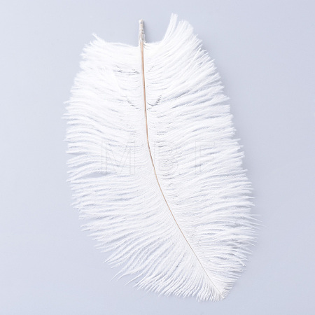 Ostrich Feather Costume Accessories FIND-R036-C-16-1