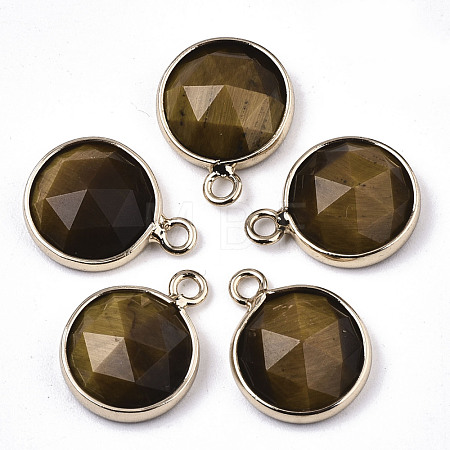 Natural Tiger Eye Charms G-N326-49D-1
