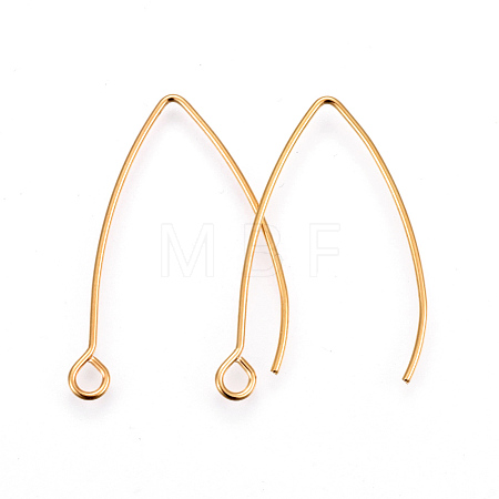 304 Stainless Steel Earring Hooks STAS-F191-02G-B-1