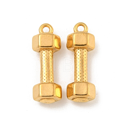 Ion Plating(IP) 304 Stainless Steel Pendants STAS-N103-79G-1